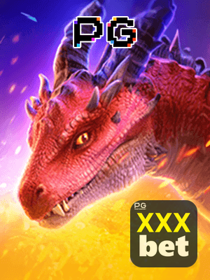 Recursos App XXXBET